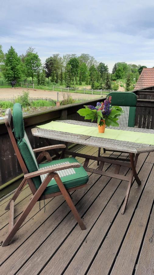Schoenermarker Pferdeparadies Niederlandin 외부 사진